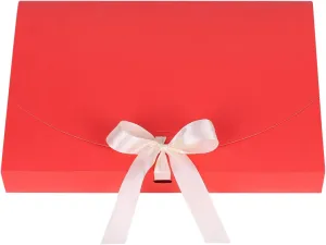 10PCS Gift Wrapping Bag for Scarves, Large Gift Envelopes Silk Scarf Shirt Present Boxes Birthday Wedding Bags Party Favor Gift Packing Envelopes with Bow Ribbon