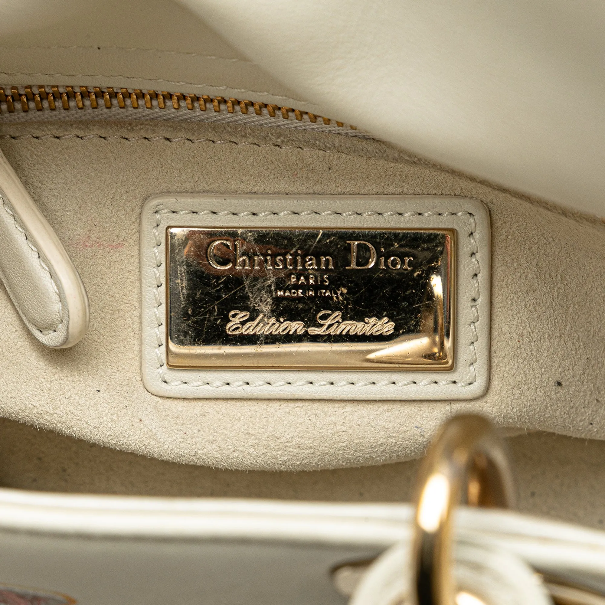 Dior Niki De Saint Phalle Mini Calfskin Dioramour Lady Dior