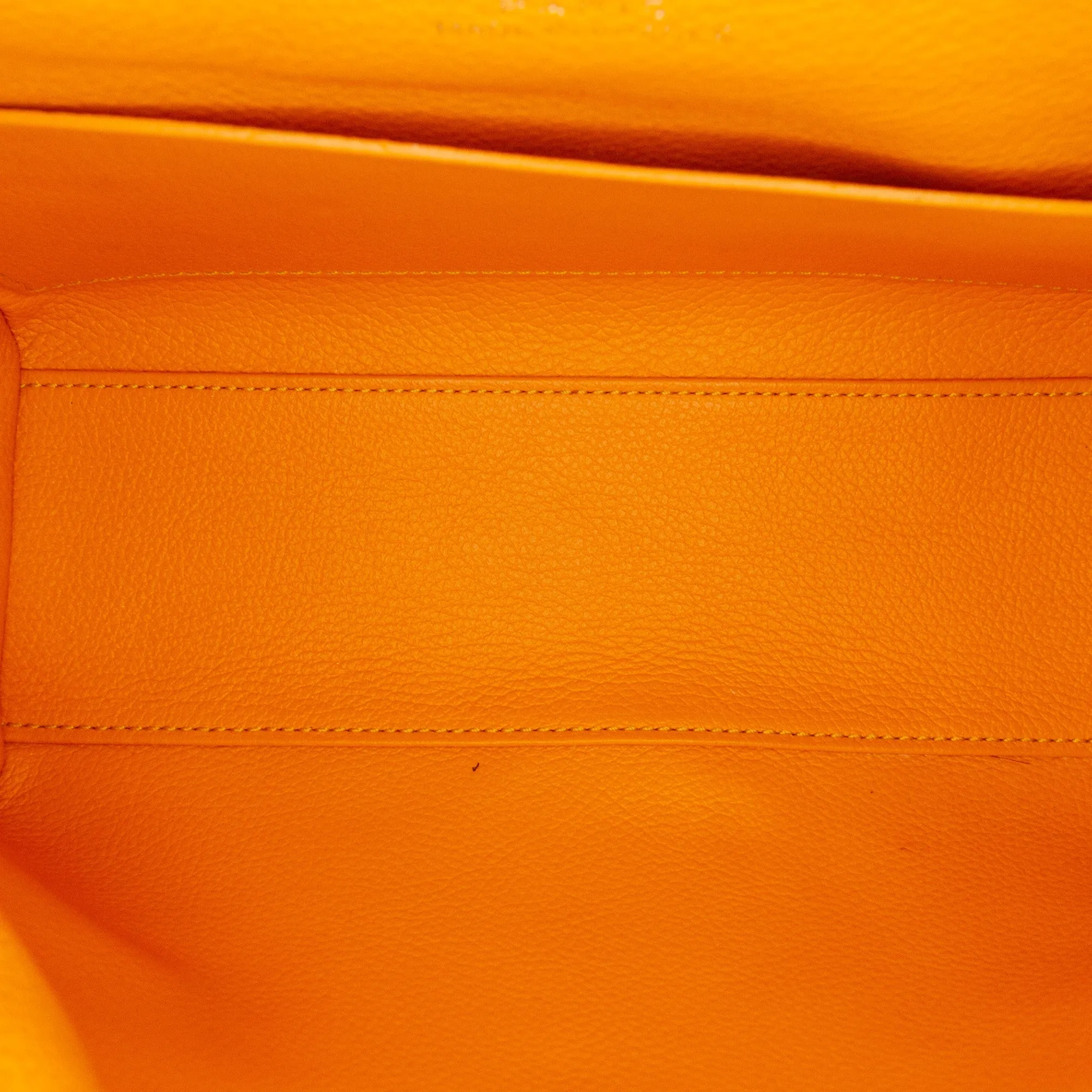 Goyard Mini Goyardine Saigon Souple