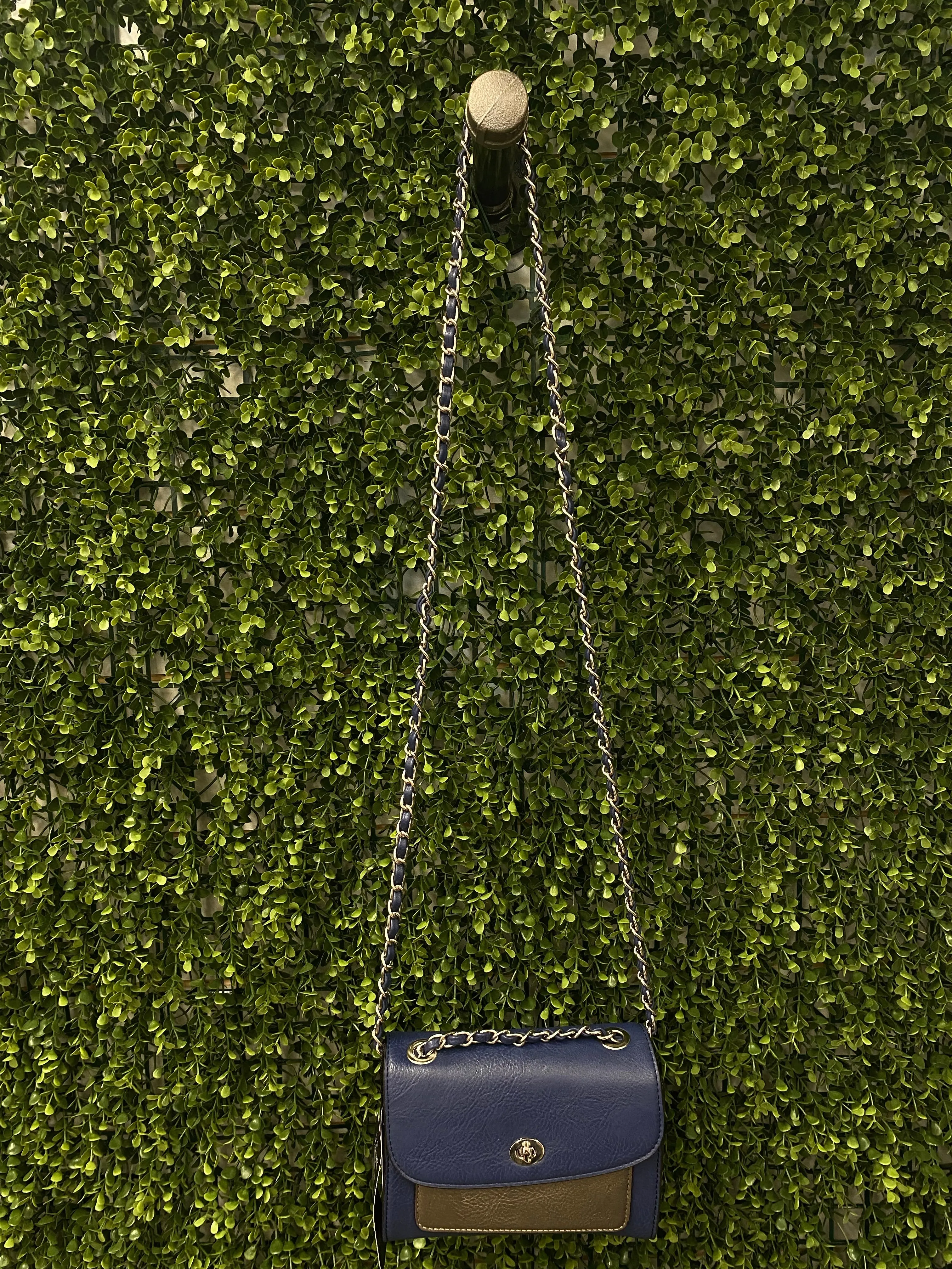 Mini Crossbody with Chain Detail - Carrie