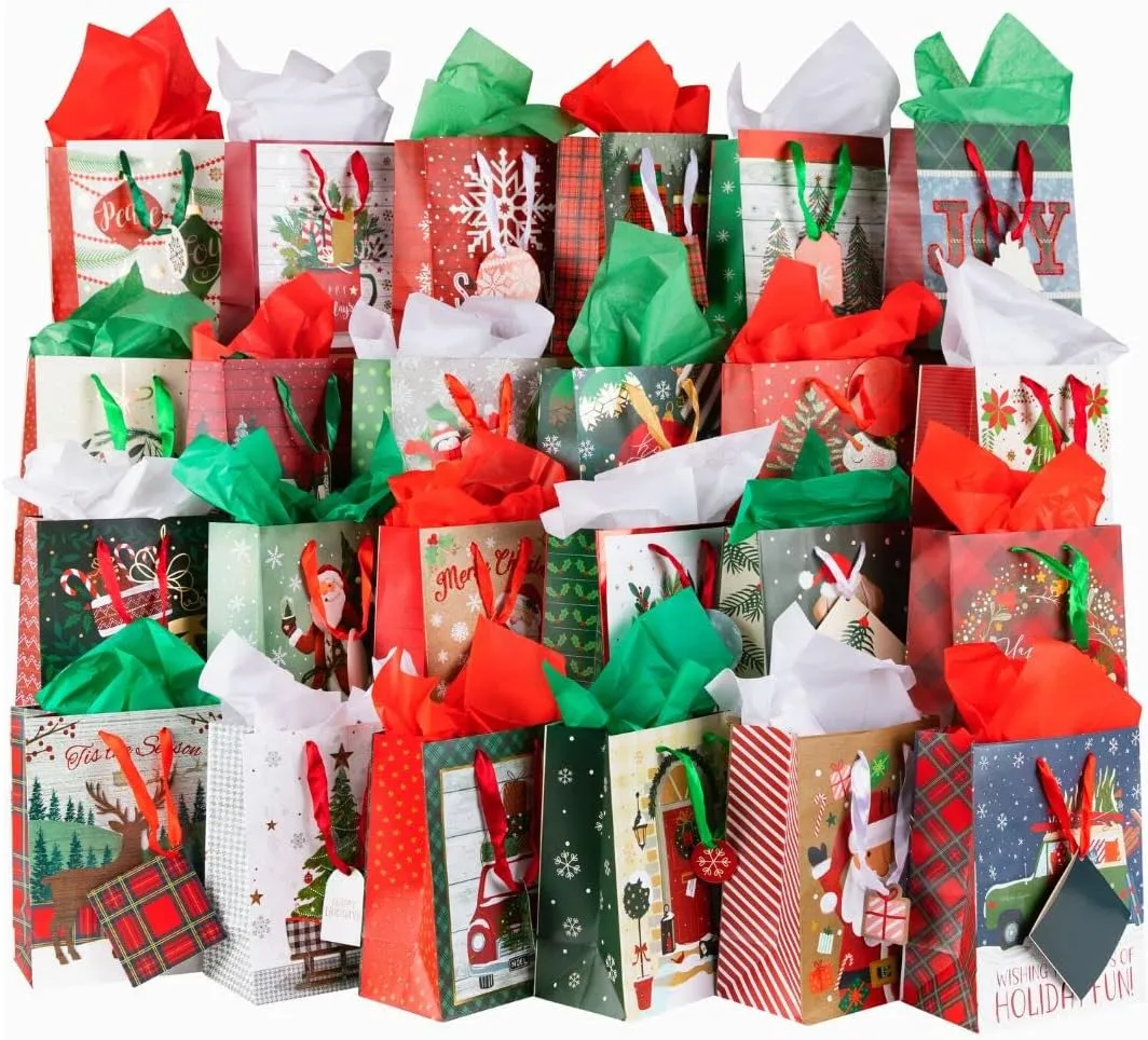Plum Designs Foil Stamped Medium Gift Bags - 24 Holiday Bags with Christmas Tissue Paper, Ribbon Handles and Gift Tags