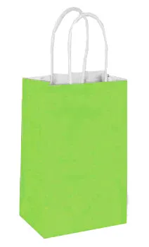 Sacs en Papier de Couleur