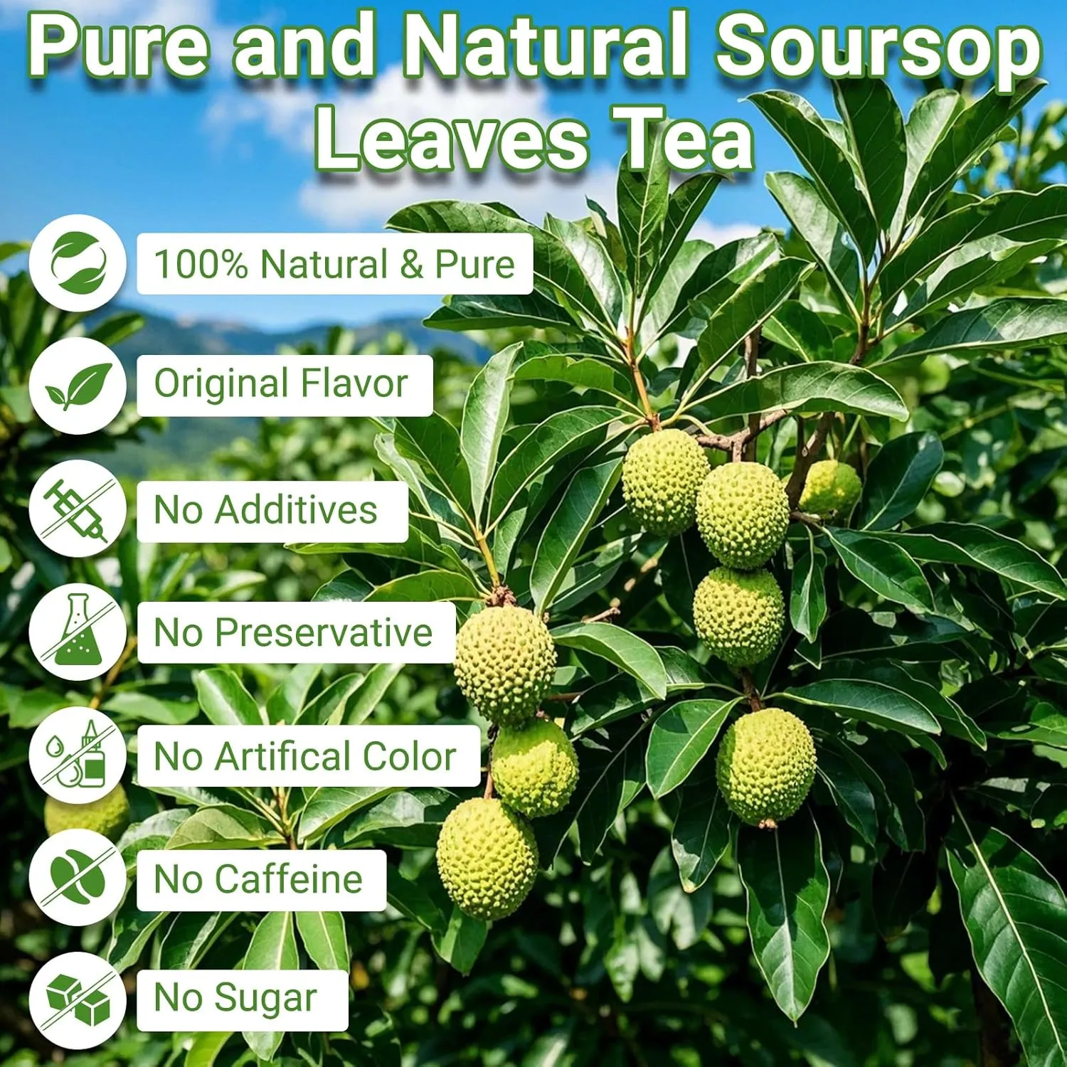 Soursop Leaves Tea Bag, Pure and Natural Soursop Graviola Leaves for Digestion, Boosting Immune, Improving Sleep & Skin Health - Hojas De Guanabana Tea（100 Teabags/2 Pack)