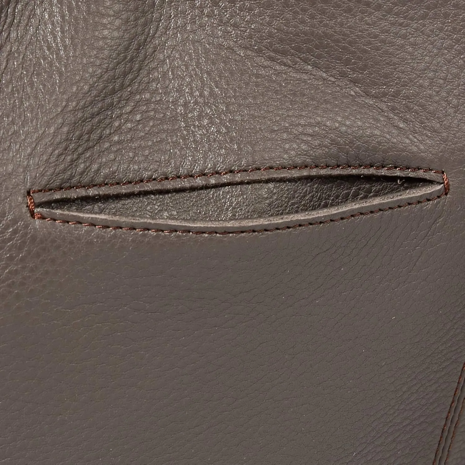 The Sak De Young Leather Hobo