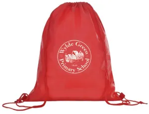 WYLDE GREEN PRIMARY PE BAG