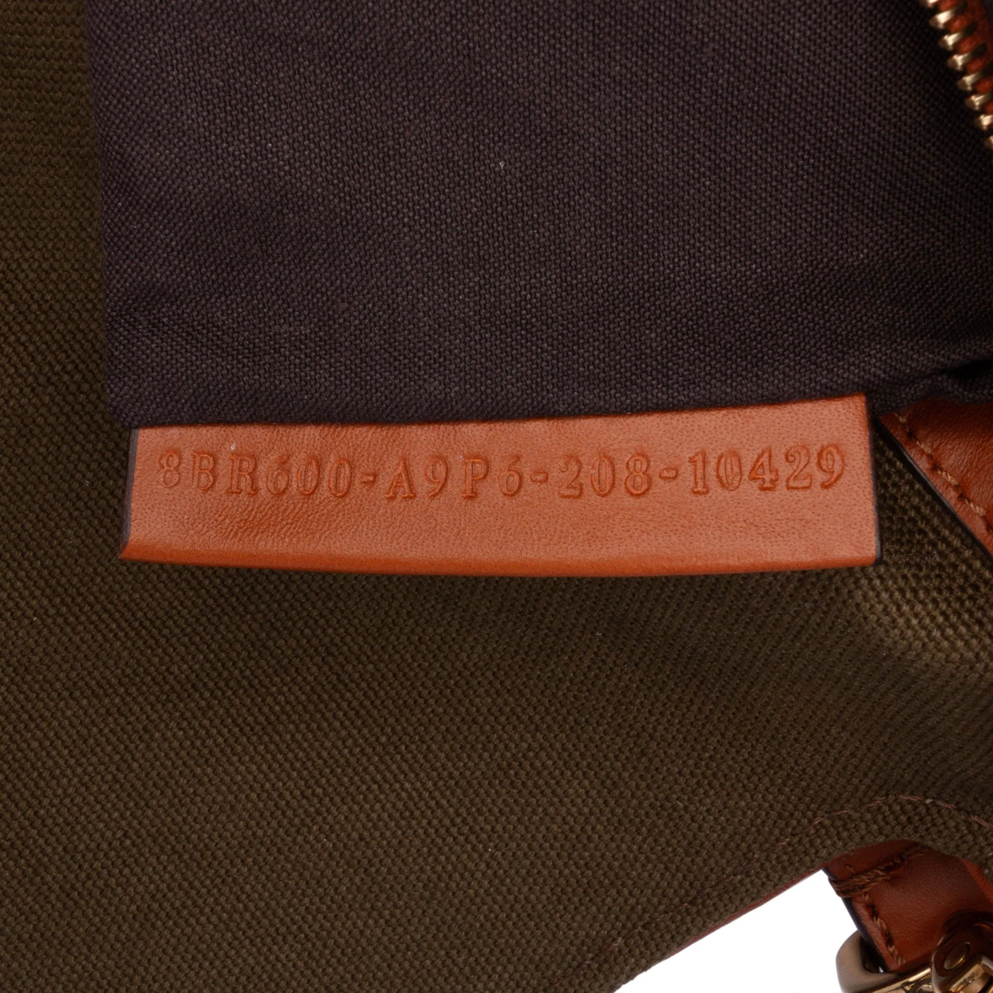 Zucca Embroidered Canvas Baguette Satchel